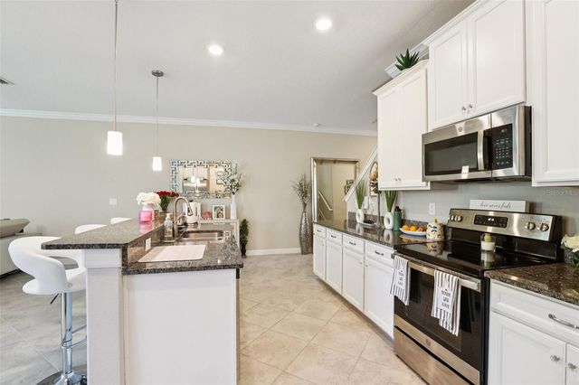 1306 WHITE FOX RUN, Lutz, FL 33549