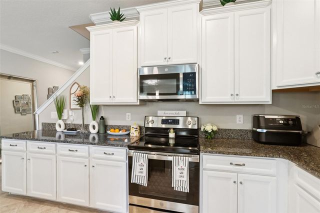 1306 WHITE FOX RUN, Lutz, FL 33549