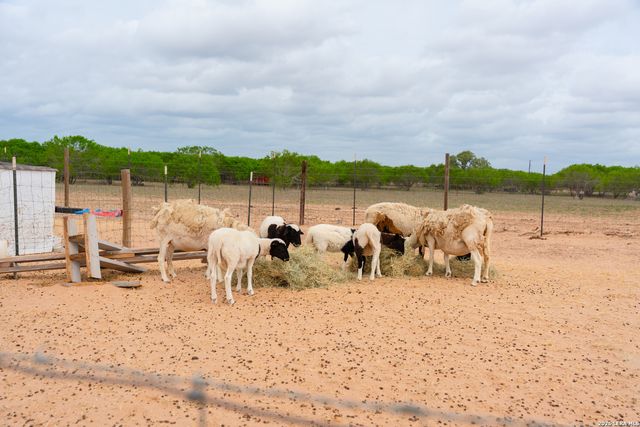 2948 FM 1922, Floresville, TX 78114
