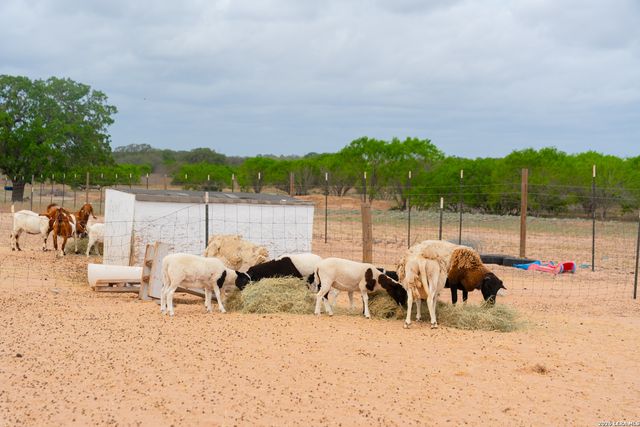 2948 FM 1922, Floresville, TX 78114