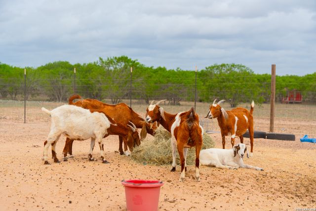 2948 FM 1922, Floresville, TX 78114