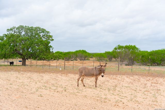 2948 FM 1922, Floresville, TX 78114
