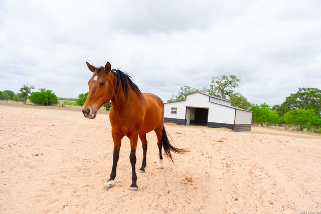 2948 FM 1922, Floresville, TX 78114