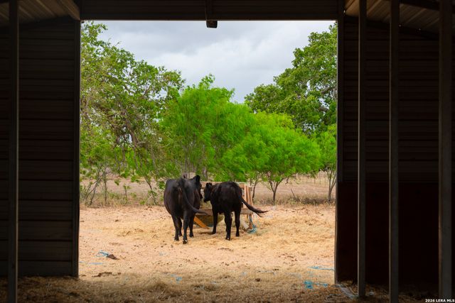 2948 FM 1922, Floresville, TX 78114