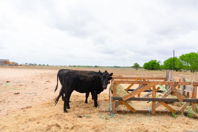 2948 FM 1922, Floresville, TX 78114