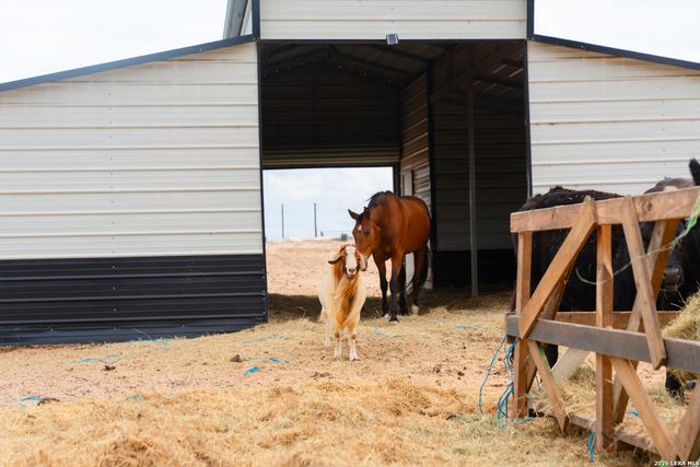 2948 FM 1922, Floresville, TX 78114