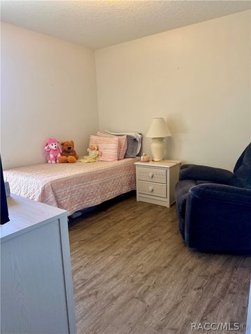 4588 E Van Ness Road, Hernando, FL 34442