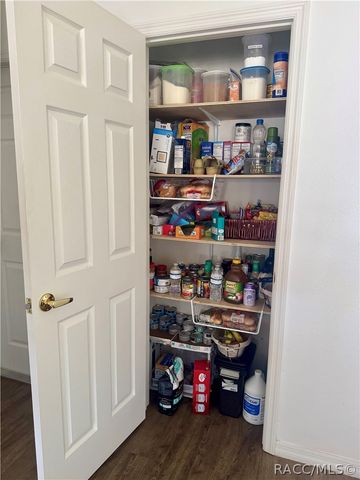 4588 E Van Ness Road, Hernando, FL 34442