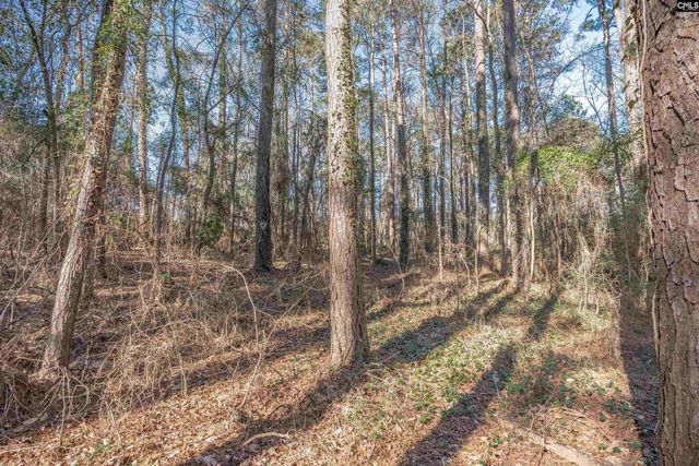 1513 Willow Creek Lane, Columbia, SC 29212