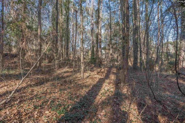 1513 Willow Creek Lane, Columbia, SC 29212