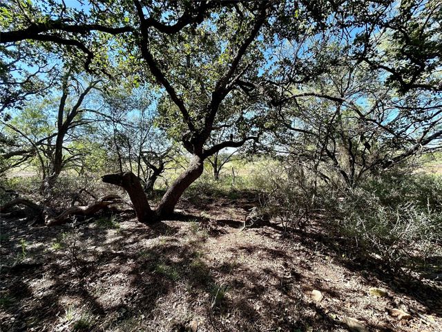 T.B.D. Cr 120, Brownwood, TX 76801