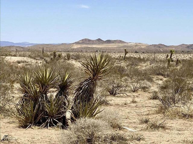 205 Old Woman Springs Road, Yucca Valley, CA 92284