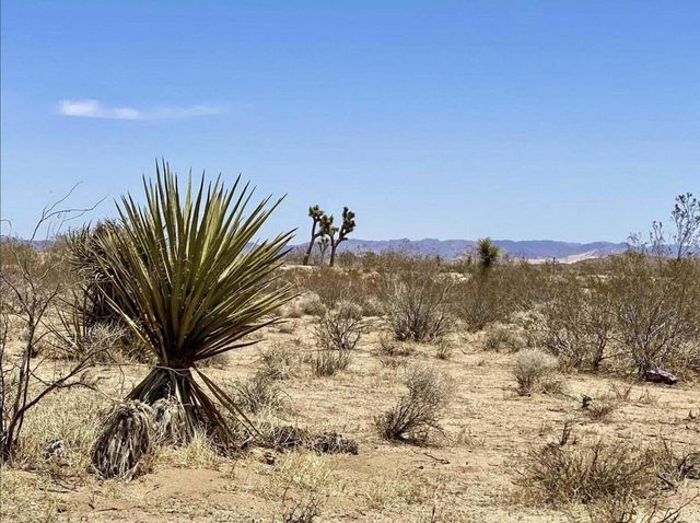 205 Old Woman Springs Road, Yucca Valley, CA 92284