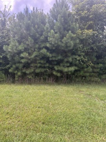 Lt 378 Marshall Rise Road, Blairsville, GA 30512