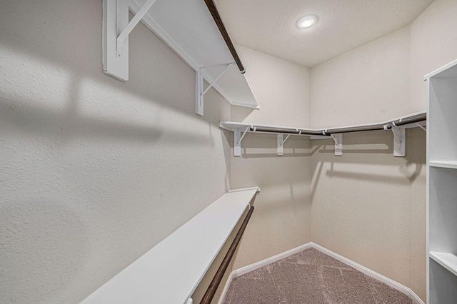 12153 Goliad Lane, Willis, TX 77378