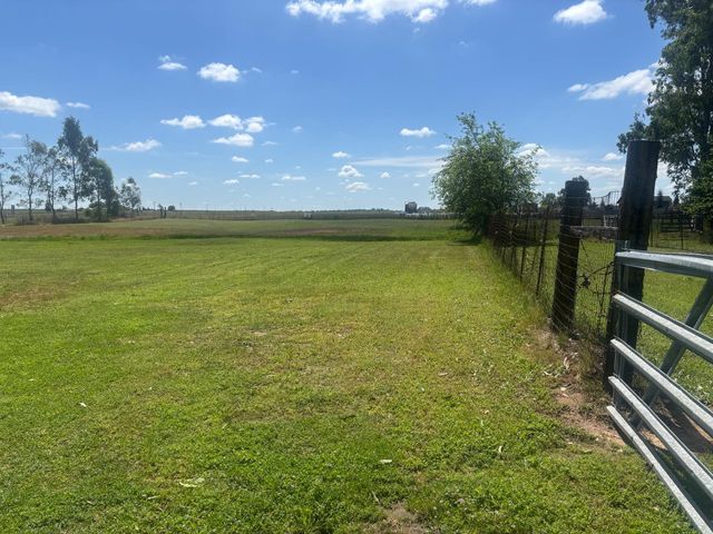 12354 Hobday Rd, Wilton, CA 95693