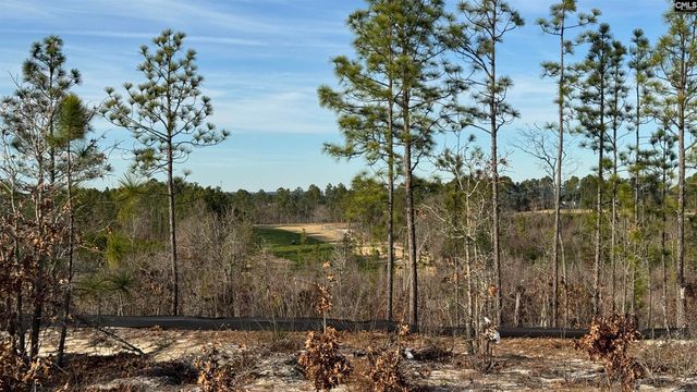 629 Silica Court, West Columbia, SC 29170