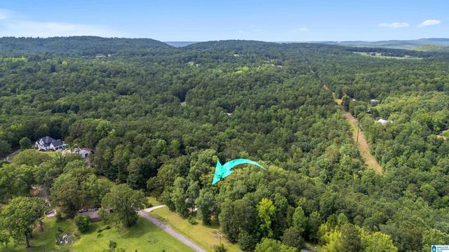 131 FOREST DRIVE, Warrior, AL 35180
