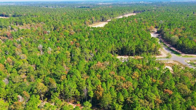 25219 Chisos Bend, Montgomery, TX 77316