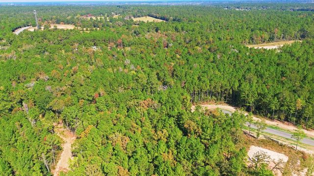 25219 Chisos Bend, Montgomery, TX 77316