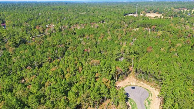 25219 Chisos Bend, Montgomery, TX 77316