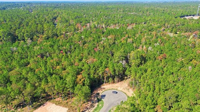 25219 Chisos Bend, Montgomery, TX 77316