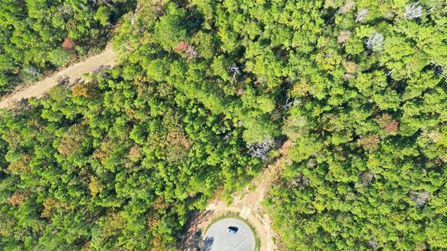 25219 Chisos Bend, Montgomery, TX 77316