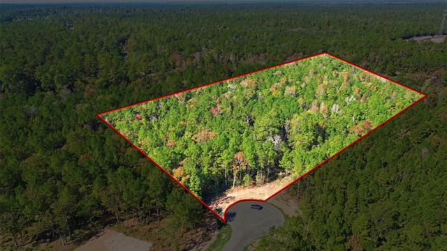 25219 Chisos Bend, Montgomery, TX 77316