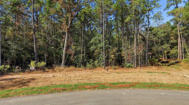 25219 Chisos Bend, Montgomery, TX 77316