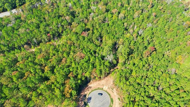 25219 Chisos Bend, Montgomery, TX 77316