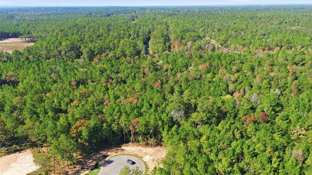 25219 Chisos Bend, Montgomery, TX 77316