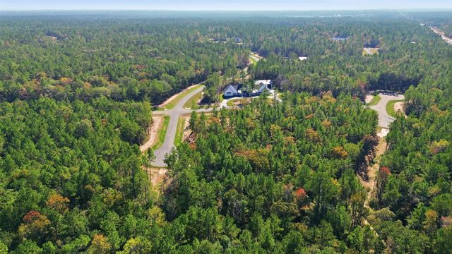 25219 Chisos Bend, Montgomery, TX 77316