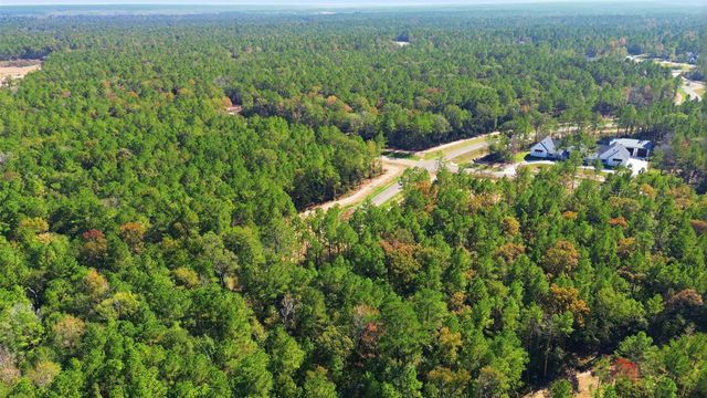 25219 Chisos Bend, Montgomery, TX 77316