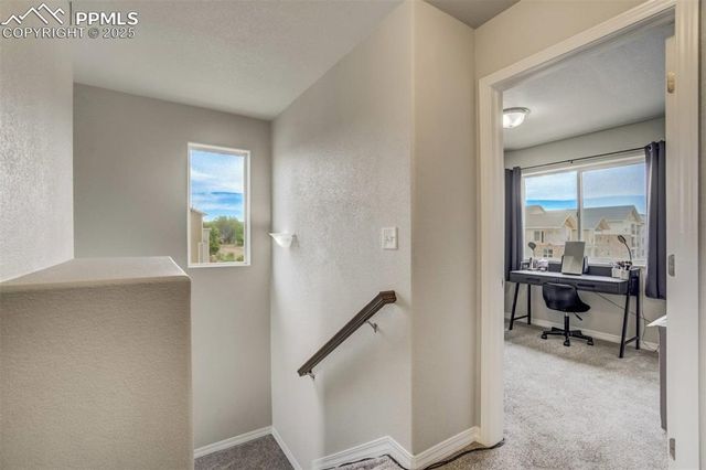 769 Grissom Drive, Colorado Springs, CO 80915
