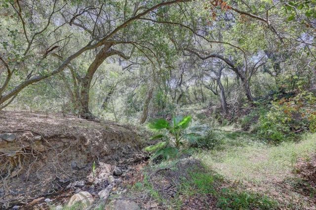 Camino Estribo 940220003, Temecula, CA 92590