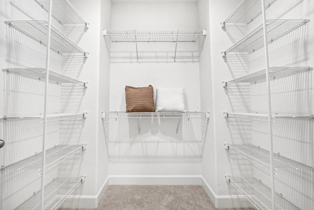 5758 Pandorea Terrace, Newark, CA 94560