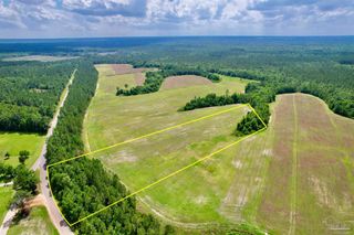 Lot 49 Mineral Springs Rd, Jay, FL 32565