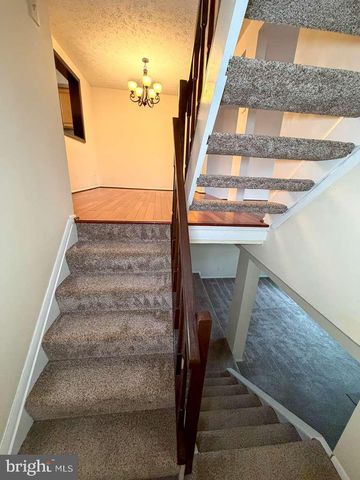 8123 STEEPLE CHASE CT, Springfield, VA 22153