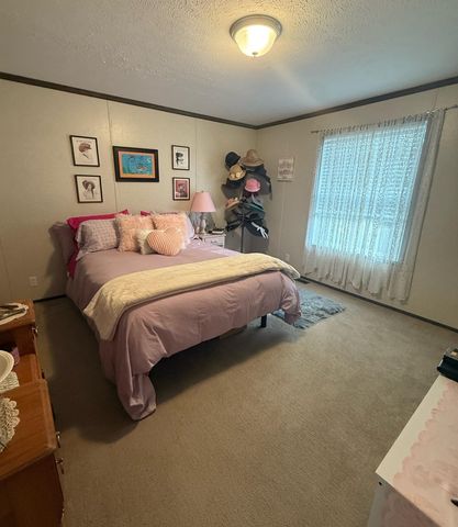 1249 Concord, Mount Pleasant, MI 48858