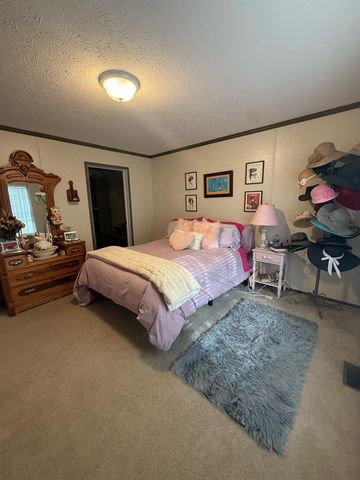 1249 Concord, Mount Pleasant, MI 48858