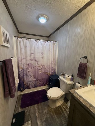 1249 Concord, Mount Pleasant, MI 48858