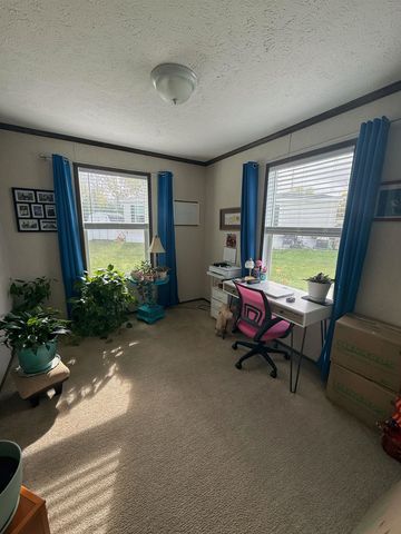 1249 Concord, Mount Pleasant, MI 48858