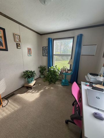 1249 Concord, Mount Pleasant, MI 48858