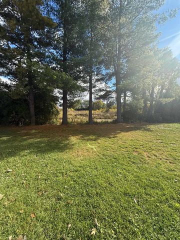 1249 Concord, Mount Pleasant, MI 48858