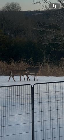 2440 Harp Pike, Frankfort, KY 40601