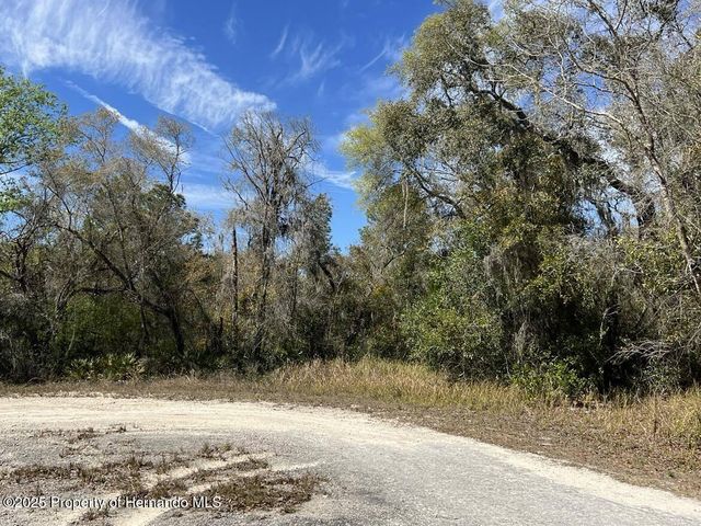 0 Riverstone Street, Webster, FL 33597