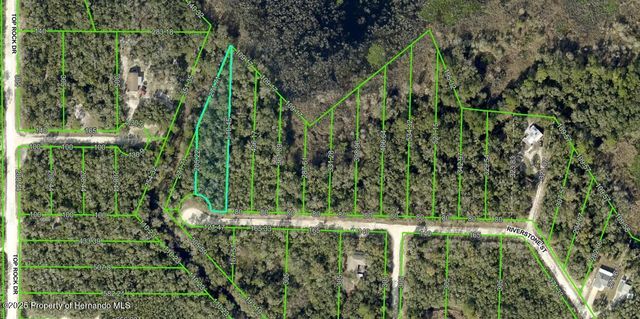 0 Riverstone Street, Webster, FL 33597