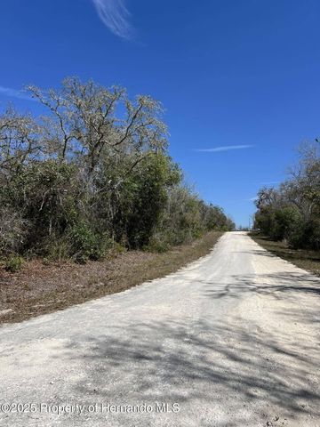 0 Riverstone Street, Webster, FL 33597