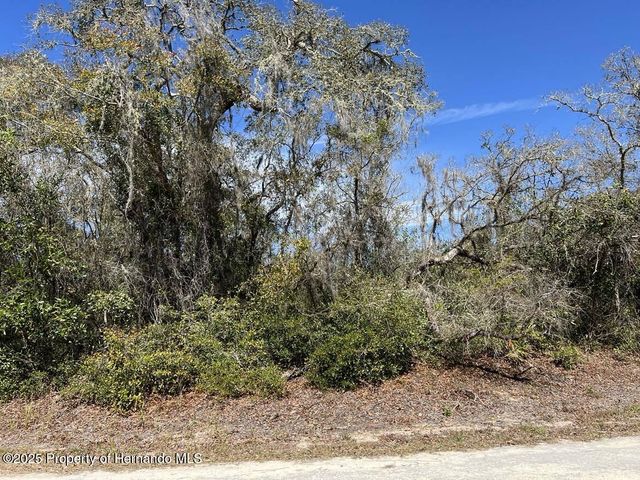 0 Riverstone Street, Webster, FL 33597