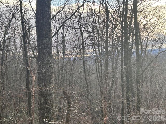 0 Pine Ridge Road 21, Hendersonville, NC 28792